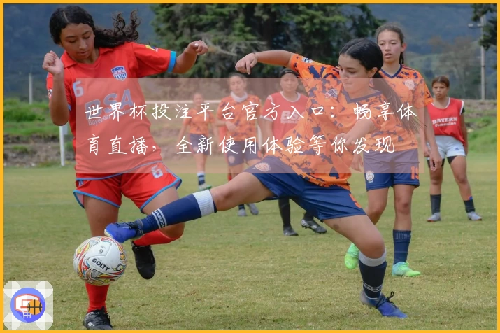 世界杯投注平台官方入口：畅享体育直播，全新使用体验等你发现