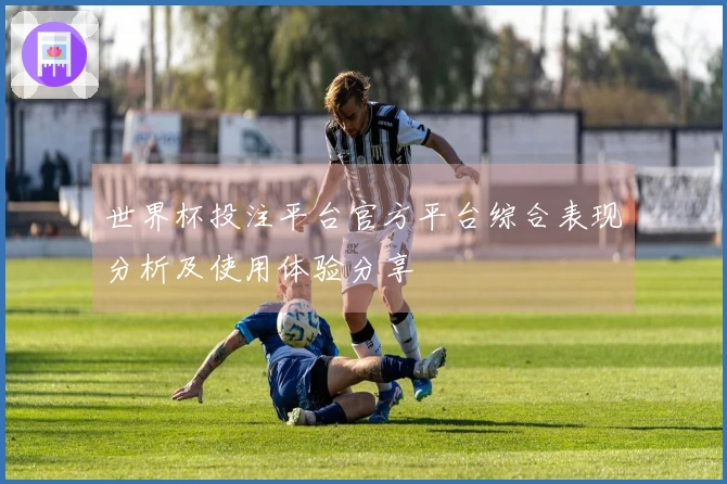 世界杯投注平台官方平台综合表现分析及使用体验分享