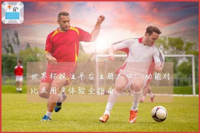 世界杯投注平台注册入口：功能对比及用户体验全指南