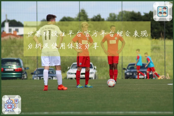 世界杯投注平台官方平台综合表现分析及使用体验分享